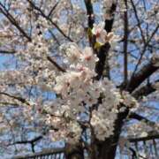 ヒメ日記 2026/03/30 15:24 投稿 みお Felice(フェリス)