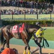 ヒメ日記 2026/10/17 17:24 投稿 みお Felice(フェリス)