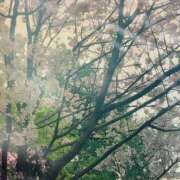 ヒメ日記 2025/04/12 01:00 投稿 ほのか 奥鉄オクテツ東京店（デリヘル市場）