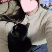 ヒメ日記 2024/12/22 07:33 投稿 すず チューリップ仙台店