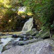 ヒメ日記 2025/08/09 10:19 投稿 上原紬葵(うえはらつむぎ) 九州熟女　熊本店