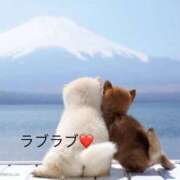 ヒメ日記 2025/09/09 11:29 投稿 上原紬葵(うえはらつむぎ) 九州熟女　熊本店