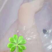 ヒメ日記 2025/11/12 00:19 投稿 上原紬葵(うえはらつむぎ) 九州熟女　熊本店