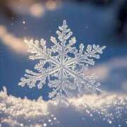 ヒメ日記 2025/11/28 23:49 投稿 上原紬葵(うえはらつむぎ) 九州熟女　熊本店