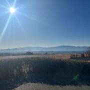 ヒメ日記 2025/01/11 10:03 投稿 まひる One More 奥様　錦糸町店