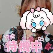 ヒメ日記 2025/08/11 11:23 投稿 まひる One More 奥様　錦糸町店