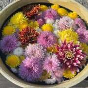 ヒメ日記 2025/11/28 11:14 投稿 宮島真知子 五十路マダム 郡山店