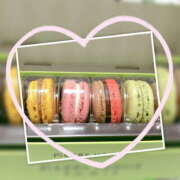 ヒメ日記 2025/02/10 13:27 投稿 ゆな☆ クンニ専門店 おクンニ学園 池袋校