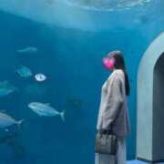 ヒメ日記 2025/01/25 03:32 投稿 藍沢 華蓮 テレジア大阪