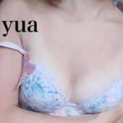 ヒメ日記 2024/12/28 21:06 投稿 ゆあ ニュー不夜城