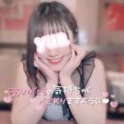 ヒメ日記 2025/02/06 16:46 投稿 ゆあ ニュー不夜城