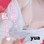 ヒメ日記 2025/11/06 15:06 投稿 ゆあ ニュー不夜城