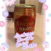 ヒメ日記 2025/04/11 17:02 投稿 星野しょう 松戸人妻花壇