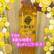 ヒメ日記 2025/05/31 17:54 投稿 星野しょう 松戸人妻花壇