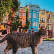 ヒメ日記 2025/06/18 12:01 投稿 星野しょう 松戸人妻花壇