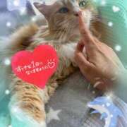 ヒメ日記 2025/09/01 16:52 投稿 星野しょう 松戸人妻花壇