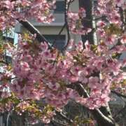 星野しょう [お題]from:ジンギスカン未経験さん 松戸人妻花壇