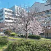 ヒメ日記 2026/03/30 18:21 投稿 星野しょう 松戸人妻花壇