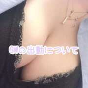 ヒメ日記 2026/04/27 08:30 投稿 星野しょう 松戸人妻花壇