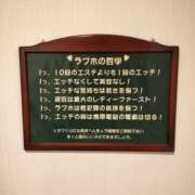 ヒメ日記 2023/11/16 14:46 投稿 ふみの 奥鉄オクテツ和歌山