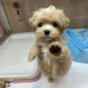 ヒメ日記 2025/02/27 09:53 投稿 相沢かれん パレット(熊本)