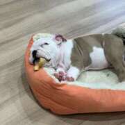 ヒメ日記 2025/03/12 13:33 投稿 相沢かれん パレット(熊本)