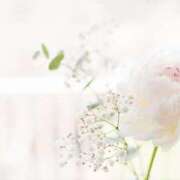 ヒメ日記 2026/03/20 08:33 投稿 相沢かれん パレット(熊本)