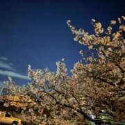 ヒメ日記 2026/04/01 09:55 投稿 相沢かれん パレット(熊本)