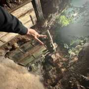 ヒメ日記 2025/06/16 17:02 投稿 えれな 熟女の風俗最終章　越谷店