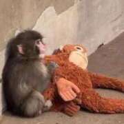 ヒメ日記 2026/03/03 15:00 投稿 えれな 熟女の風俗最終章　越谷店