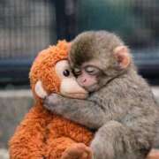 ヒメ日記 2026/04/10 13:51 投稿 えれな 熟女の風俗最終章 西川口店