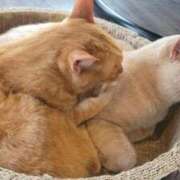 ヒメ日記 2025/06/20 20:03 投稿 みゆう 派遣型JKリフレ ぷるぷる横浜