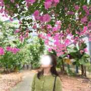 ヒメ日記 2025/02/22 09:31 投稿 みいな ムーランルージュ