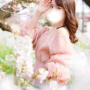 ヒメ日記 2025/04/03 22:41 投稿 みいな ムーランルージュ