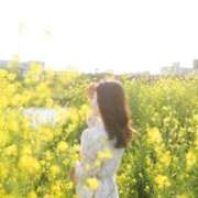 ヒメ日記 2025/04/18 21:57 投稿 みいな ムーランルージュ