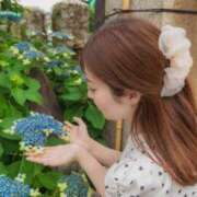 ヒメ日記 2025/09/24 11:45 投稿 みいな ムーランルージュ