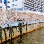 ヒメ日記 2025/03/30 08:10 投稿 のえる 奥鉄オクテツ東京店（デリヘル市場）