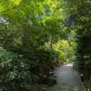 ヒメ日記 2025/06/29 15:14 投稿 のえる 奥鉄オクテツ東京店（デリヘル市場）