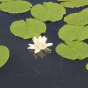 ヒメ日記 2025/08/06 10:40 投稿 のえる 奥鉄オクテツ東京店（デリヘル市場）