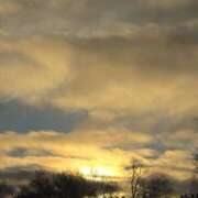 ヒメ日記 2026/01/01 11:58 投稿 のえる 奥鉄オクテツ東京店（デリヘル市場）