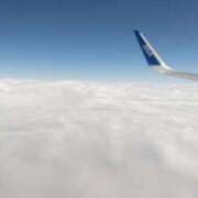 ヒメ日記 2026/02/02 11:21 投稿 のえる 奥鉄オクテツ東京店（デリヘル市場）