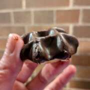 ヒメ日記 2026/03/12 13:44 投稿 のえる 奥鉄オクテツ東京店（デリヘル市場）