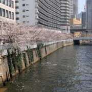 ヒメ日記 2026/03/29 16:37 投稿 のえる 奥鉄オクテツ東京店（デリヘル市場）