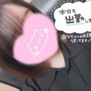 ヒメ日記 2025/04/27 15:00 投稿 ♡スズ♡ ラブ♡エル