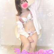 ヒメ日記 2025/02/12 12:00 投稿 るあ 甲府人妻隊