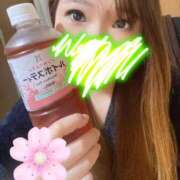 ヒメ日記 2025/03/25 12:49 投稿 あおい 池袋人妻アデージョ