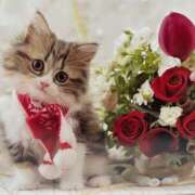 ヒメ日記 2024/12/24 08:53 投稿 そよか 奥鉄オクテツ和歌山