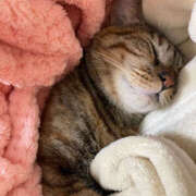 ヒメ日記 2025/02/15 13:27 投稿 そよか 奥鉄オクテツ和歌山