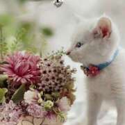 ヒメ日記 2025/02/22 07:12 投稿 そよか 奥鉄オクテツ和歌山