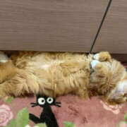 ヒメ日記 2025/02/22 12:44 投稿 そよか 奥鉄オクテツ和歌山